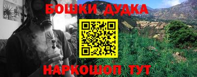 стафф Усть-Илимск