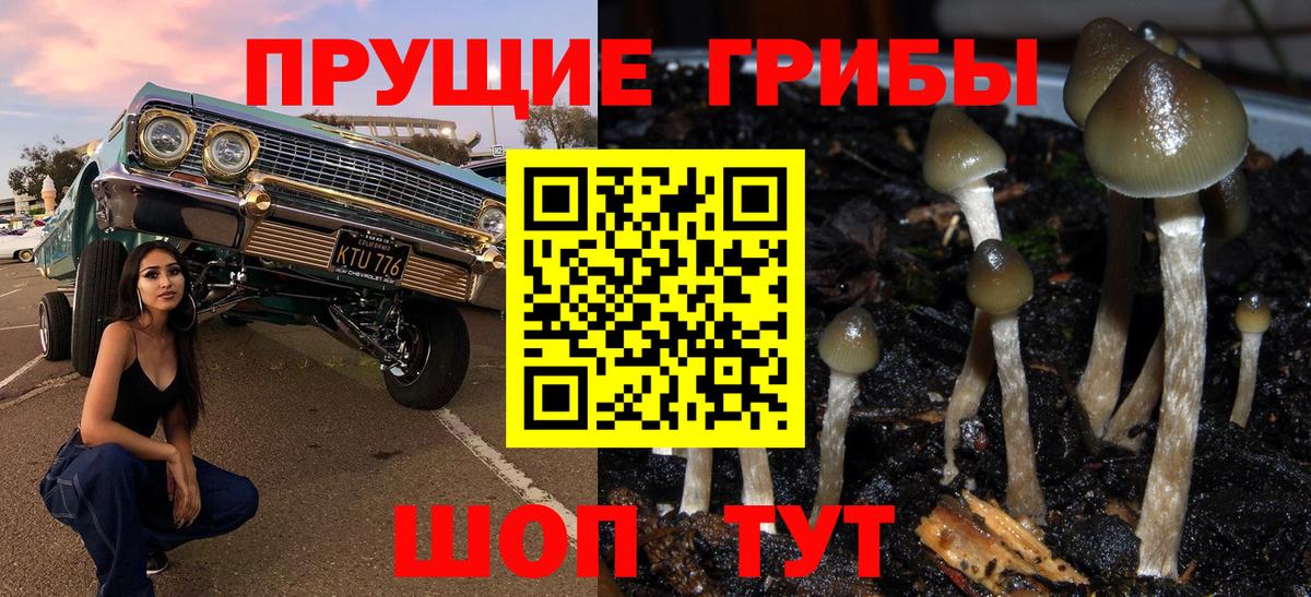 Галлюциногенные грибы Cubensis  Вход с VPN  Бор 