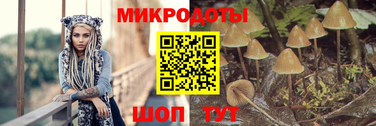 Псилоцибиновые грибы мицелий Бор