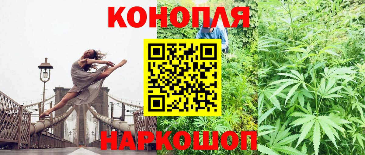 Конопля White Widow Бор
